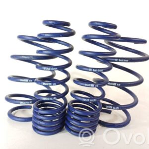 Renault Mégane II RS Front Coil Spring (OEM: 29528HA / Manufacturer Code: 29528VA)